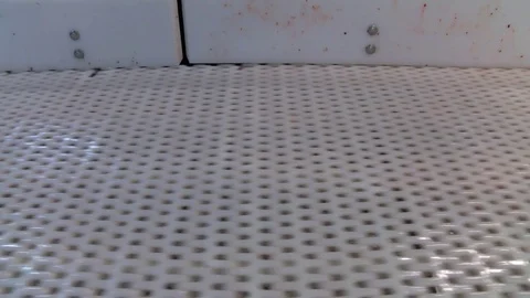 Salmon Processing factory plant in Scotland Stock Footage 77645992