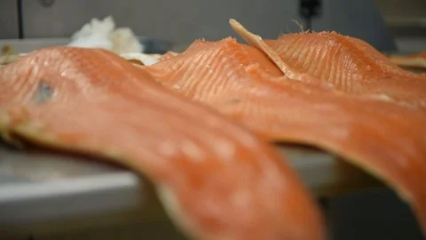 Salmon processing 스톡 동영상 104243843