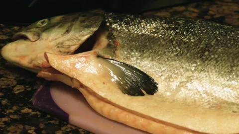 Salmon Ready To be Cut Vídeo Stock 107316256