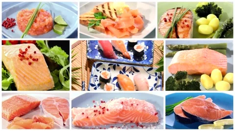 Salmon recipes collage Stock Footage 45966433