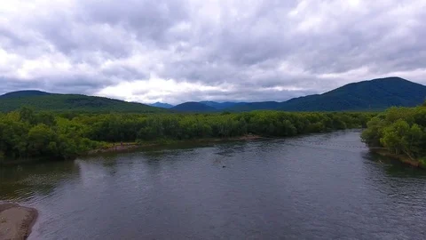 Salmon Return to Spawn Kamchatka august 2018 Stock Footage 119959315