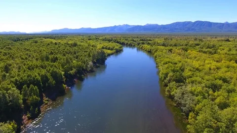 Salmon Return to Spawn Kamchatka august 2018 库存影片 119960868