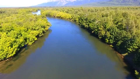 Salmon Return to Spawn Kamchatka august 2018 库存影片 119960949