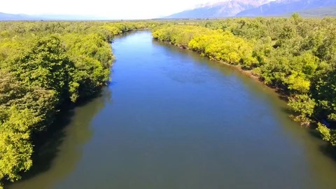 Salmon Return to Spawn Kamchatka august 2018 库存影片 119960989