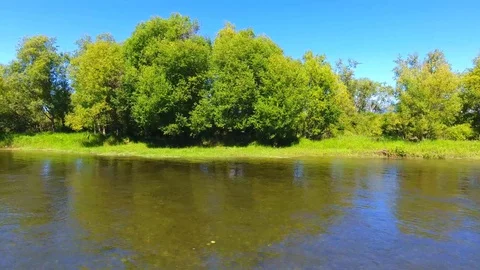 Salmon Return to Spawn Kamchatka august 2018 Stock Footage 119961290