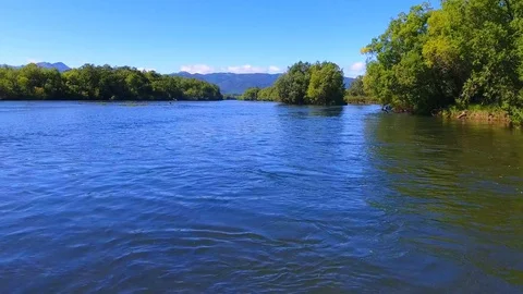 Salmon Return to Spawn Kamchatka august 2018 Stock-Footage 119961353