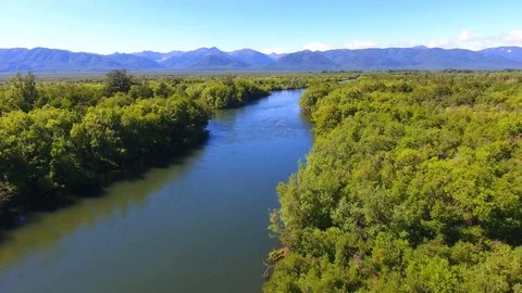 Salmon Return to Spawn Kamchatka august 2018 库存影片 119961406