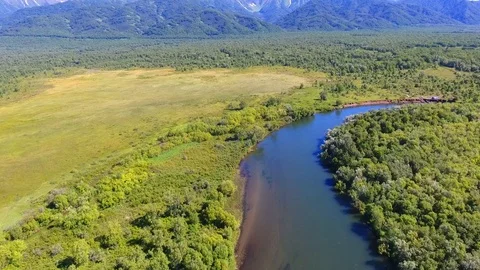 Salmon Return to Spawn Kamchatka august 2018 库存影片 119961708