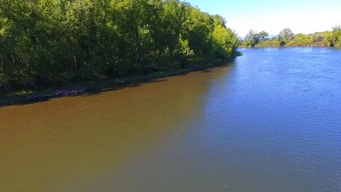 Salmon Return to Spawn Kamchatka august 2018 Stock Footage 119961770
