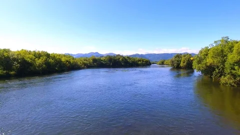 Salmon Return to Spawn Kamchatka august 2018 Vídeos de archivo 119962290