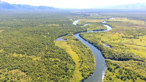 Salmon Return to Spawn Kamchatka august 2018 Stock Footage 119962395