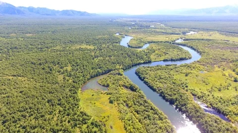 Salmon Return to Spawn Kamchatka august 2018 Stock Footage 119962468