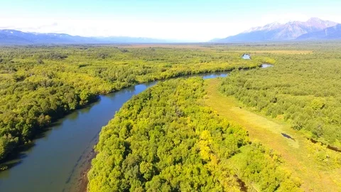 Salmon Return to Spawn Kamchatka august 2018 Stock Footage 119962606