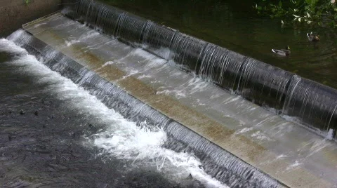 Salmon returning Stock Footage 526154
