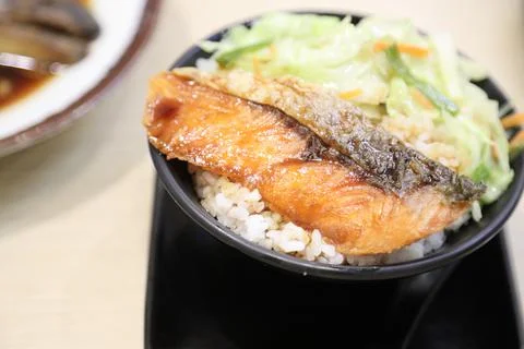 Salmon with Rice Stock Photos