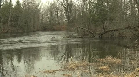 Salmon river 動画素材 10851527