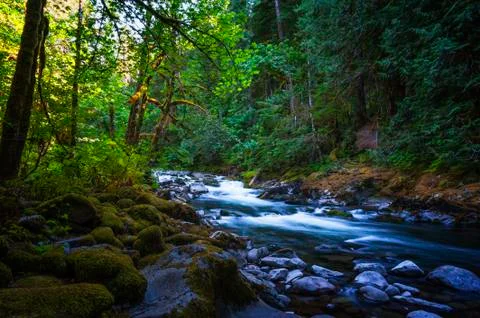 Salmon River Foto stock