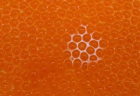 Salmon roe Stock Photos