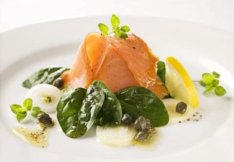 Salmon salad Stock Photos