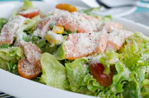 Salmon salad Stock Photos