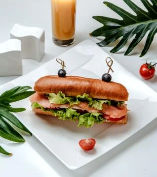 Salmon sandwich with vegetables on the table Stock Photos