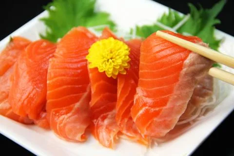Salmon Sashimi Stock Photos