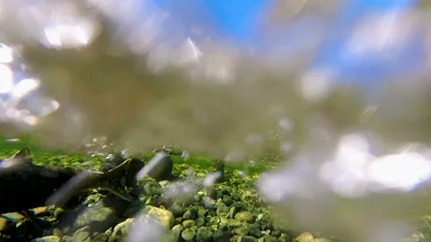 Salmon Spawning In Clear River Water With Underwater View Vidéo 339791369
