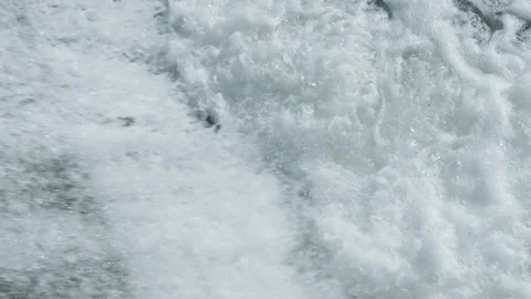 Salmon Spawning Run in Ganaraska River in Slow Motion Stock Footage 336187108