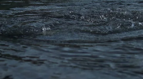 A salmon splashes and fights after being caught Video stock 40648136