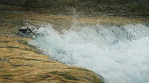 Salmon Splashing and Jumping at Waterfall Base Stock Footage 344031577