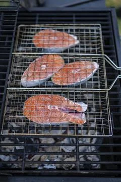 Salmon steaks on grill are coking on the firewood in the backyard. Stock Photos