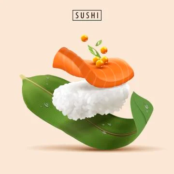 Salmon Sushi elements Illustrazione stock