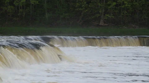 Salmon swimming up river Stock Footage 23725641