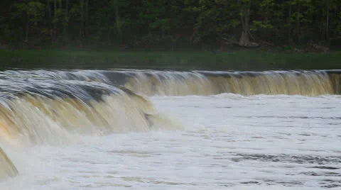 Salmon swimming up river Stock Footage 23725647