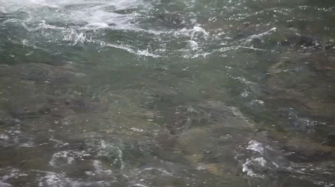 Salmon swimming upstream through rapids Video stock 1038403