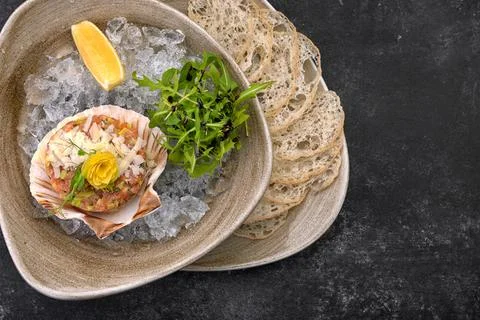 Salmon tartare with avocado, bread chips and lemon, on a plate, on a dark bac Stock Photos