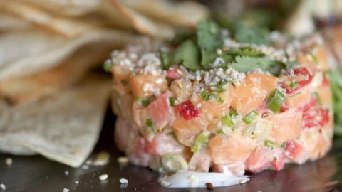Salmon tartare Stock Footage 109415300