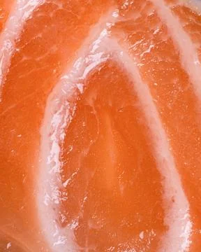Salmon texture lines raw fish pattern Stock Photos