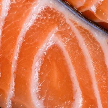 Salmon texture lines square background raw Stock Photos