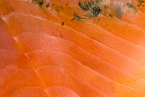 Salmon texture Stock Photos