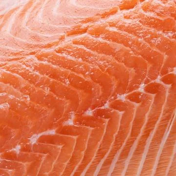 Salmon texture square background raw fish Stock Photos