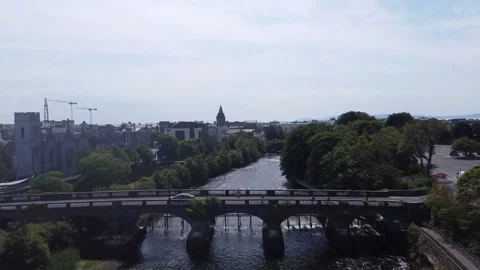 Salmon Weir Video stock 161816255