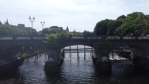 Salmon Weir Video stock 161816273