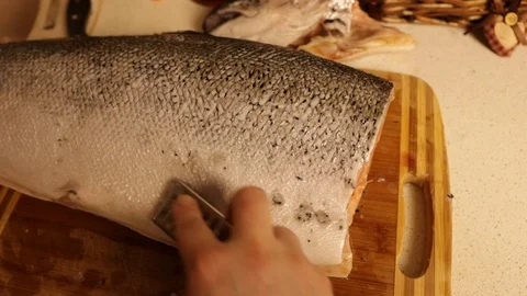 Salmon3 Stock Footage 122821473