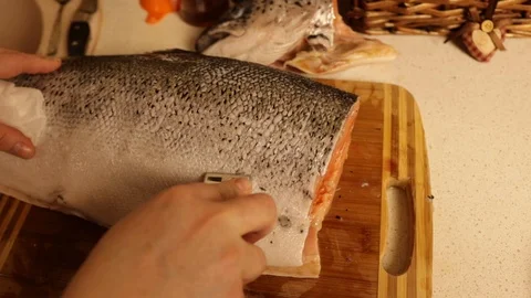 Salmon4 Stock Footage 122821529