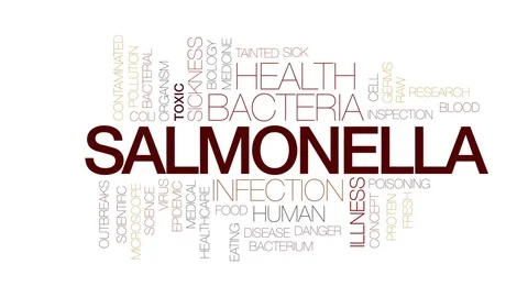 Salmonella animated word cloud, text des... | Stock Video | Pond5