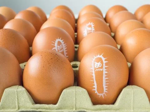 Salmonella bacterium drawn on eggs Stock Photos