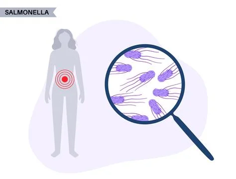 .Salmonella Typhimurium Cells Stock Illustration