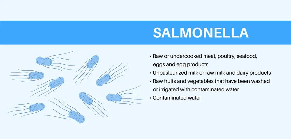 .Salmonella Typhimurium Cells Stock Illustration
