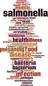 Salmonella word cloud Stock Illustration